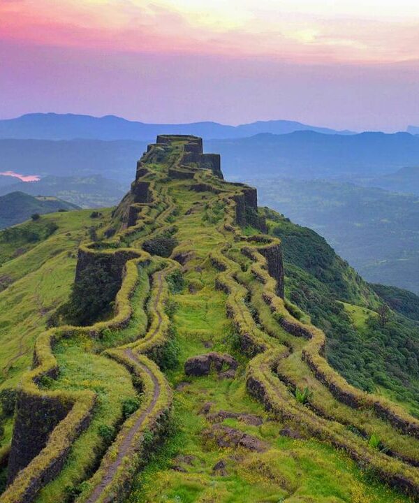 Pune Pune