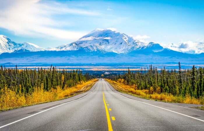 Safe Road Trip